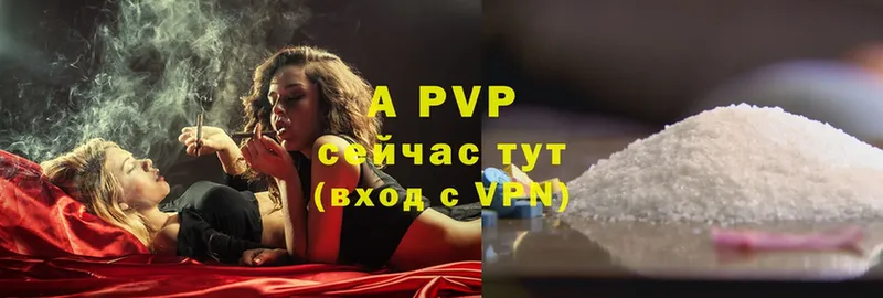 закладка  Владимир  APVP крисы CK 