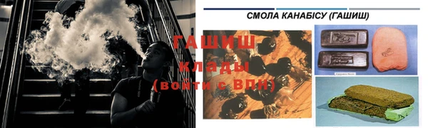 гашик Болотное