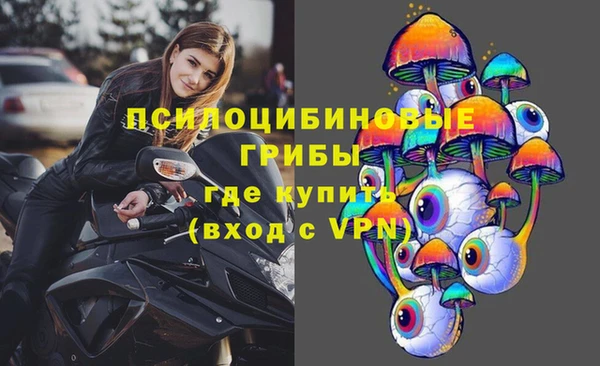 ГАЛЛЮЦИНОГЕННЫЕ ГРИБЫ Навашино