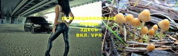 ГАЛЛЮЦИНОГЕННЫЕ ГРИБЫ Навашино