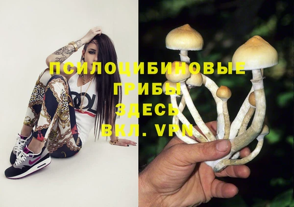 mdma Бикин