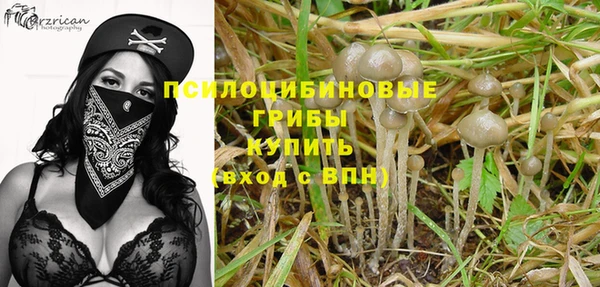 ГАЛЛЮЦИНОГЕННЫЕ ГРИБЫ Навашино