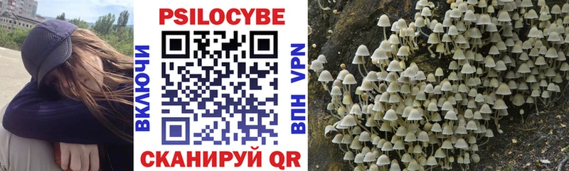 продажа наркотиков  Владимир  ссылка на мегу зеркало  Псилоцибиновые грибы Psilocybe 